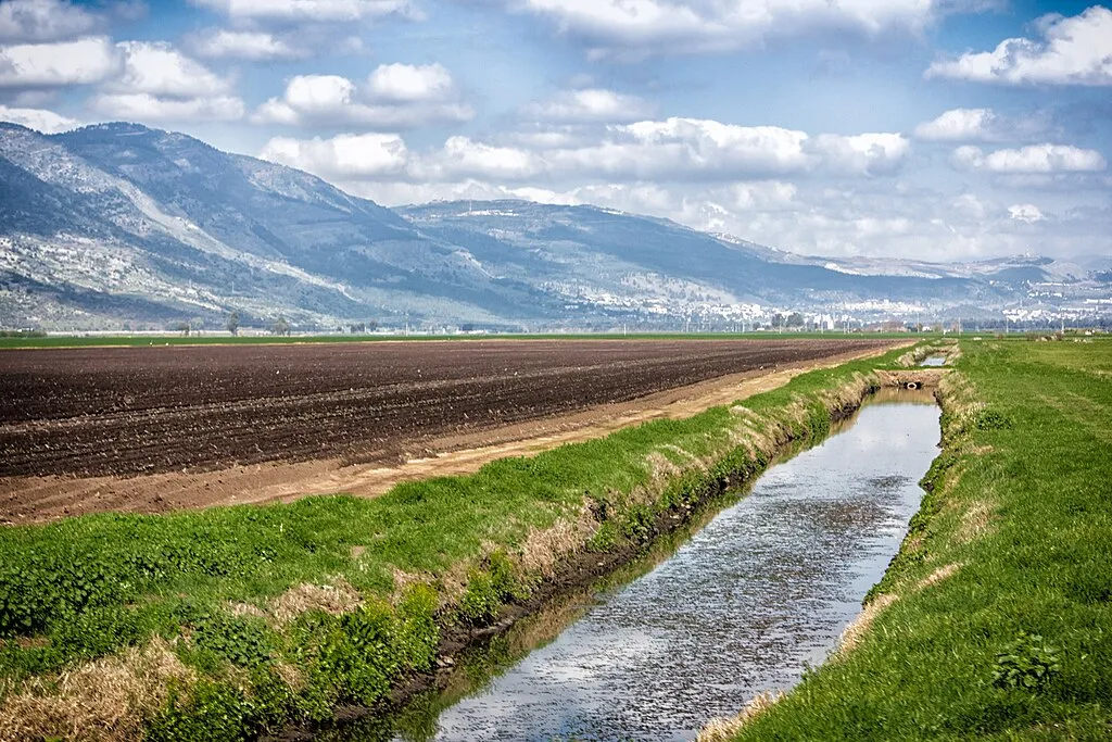 World Court of Conscience: Oasis Plan Development for Peace