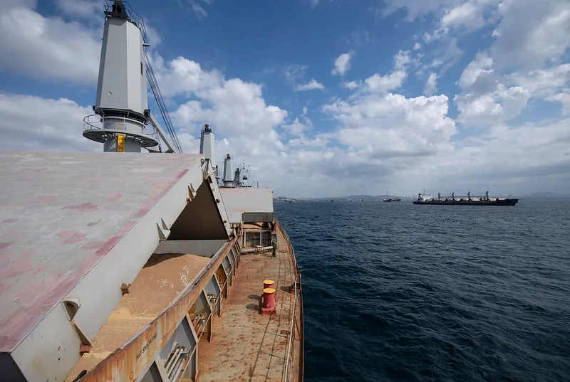 Erdogan Argues for No NATO Involvement in Ukraine, Wants To Renew Grain Deal