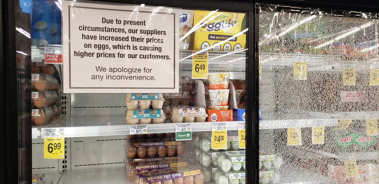 USDA's Five-Point Plan To Fight Bird Flu, Egg Shortage