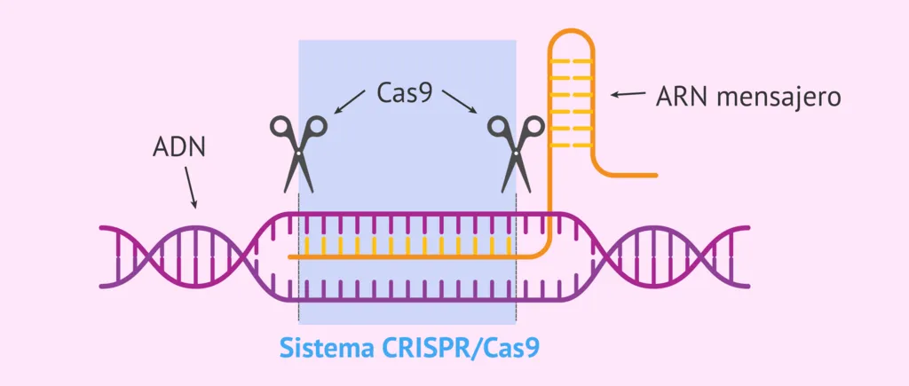 Breakthrough Development in Personalized Medicine via CRISPR
